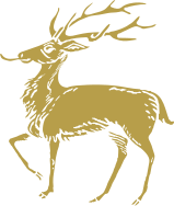 animal-irlande-gold
