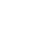 animal-irlande-white